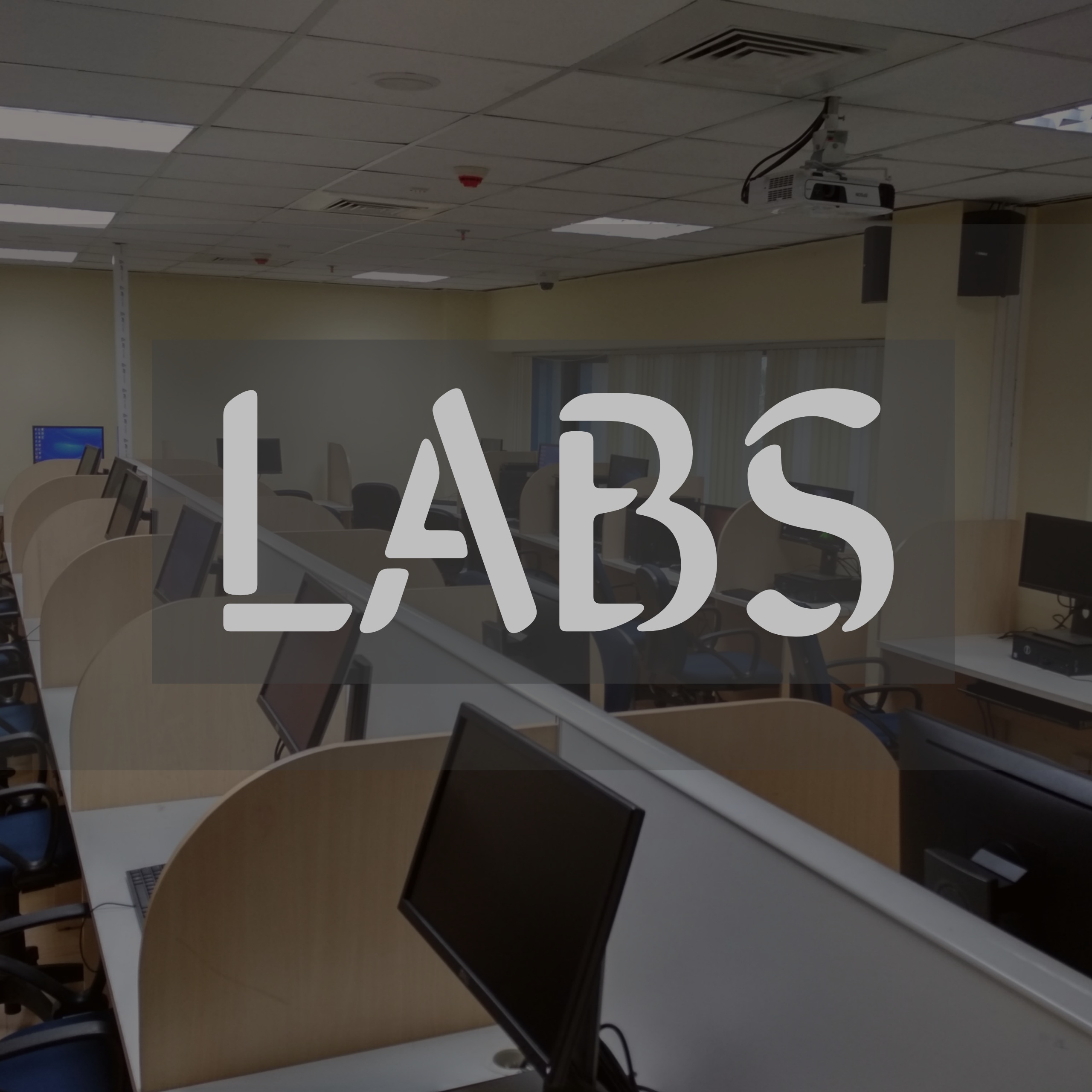 Labs